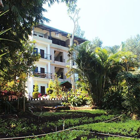 Coorg Jungle Camp Resort Suntikoppa Exterior photo