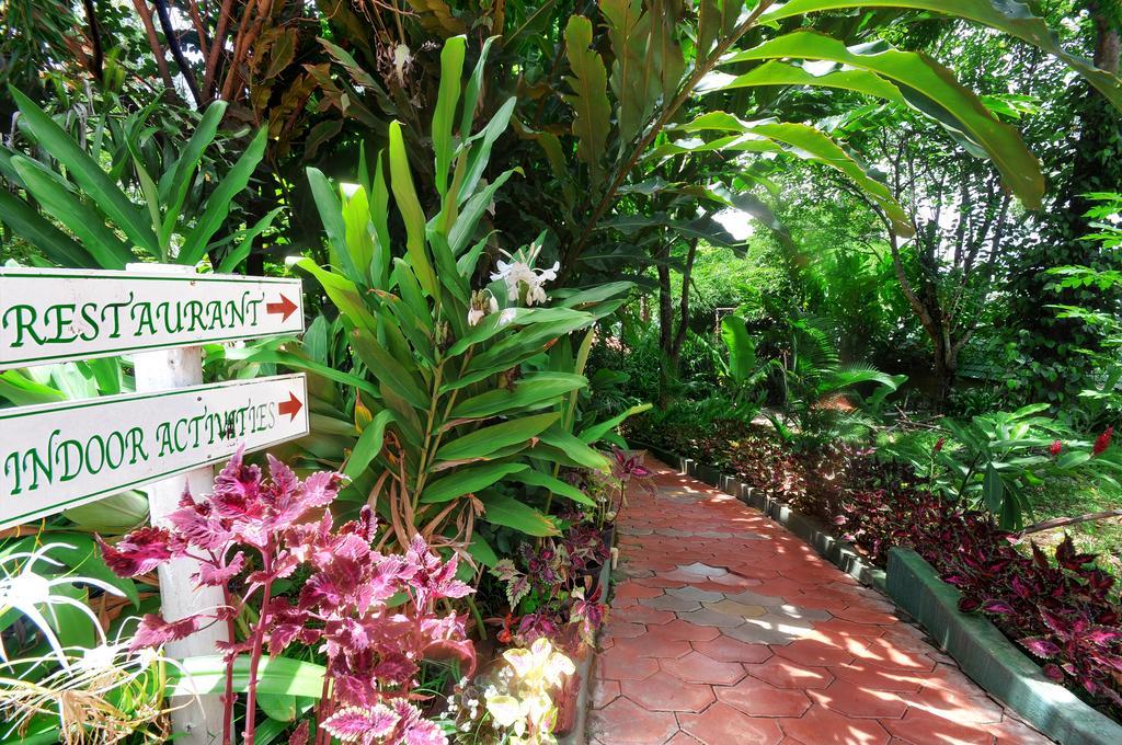 Coorg Jungle Camp Resort Suntikoppa Exterior photo