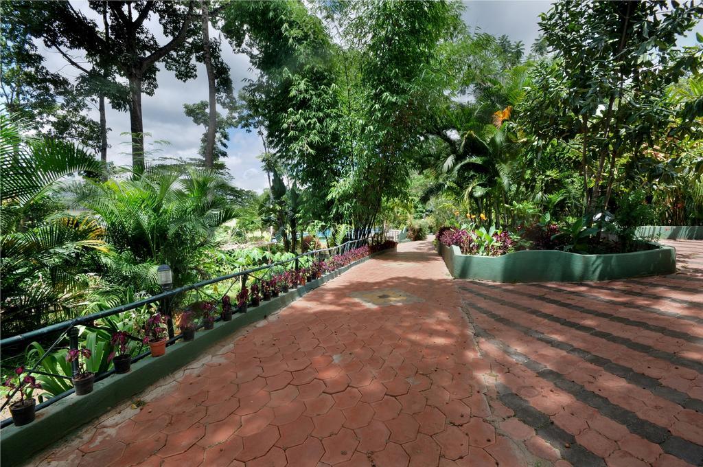 Coorg Jungle Camp Resort Suntikoppa Exterior photo