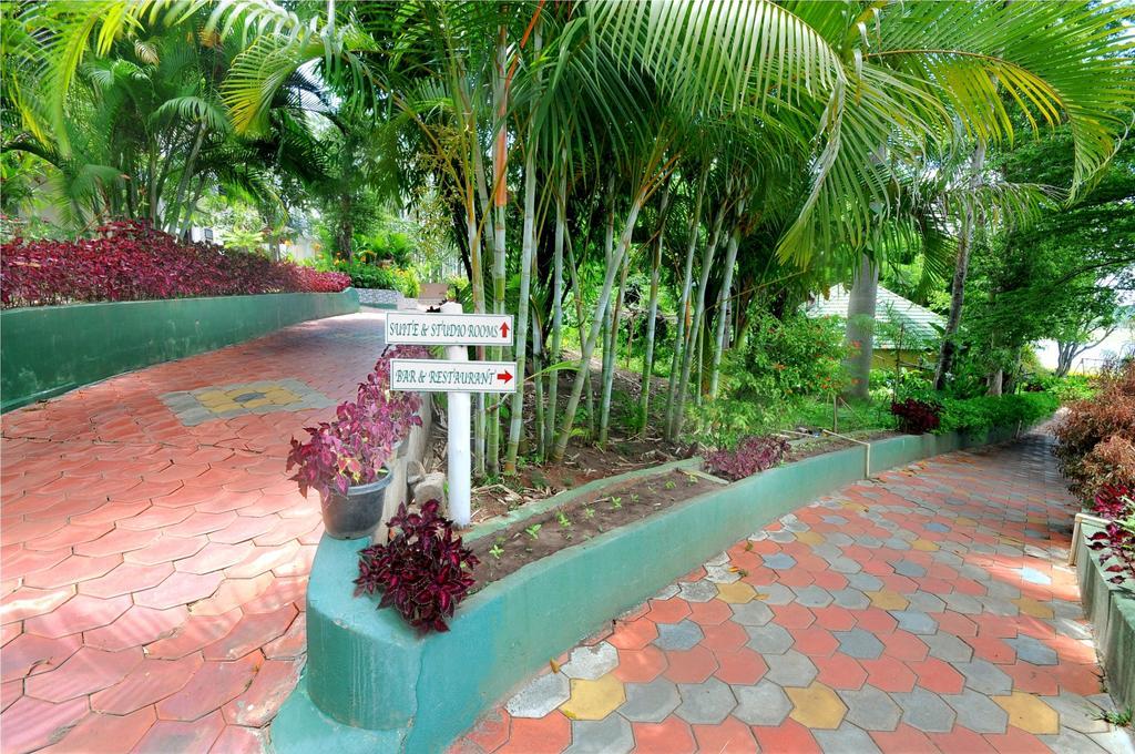Coorg Jungle Camp Resort Suntikoppa Exterior photo